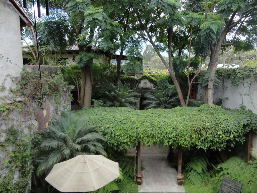 Cissus Hotel Boutique (Adults Only) Antigua Eksteriør billede
