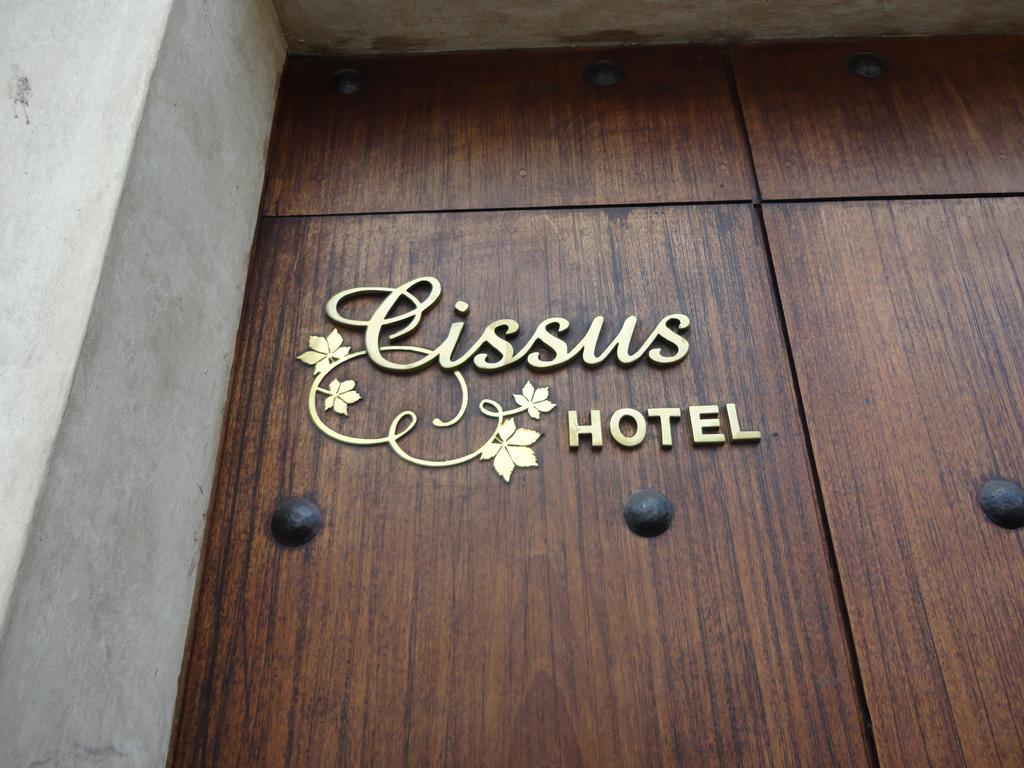 Cissus Hotel Boutique (Adults Only) Antigua Værelse billede