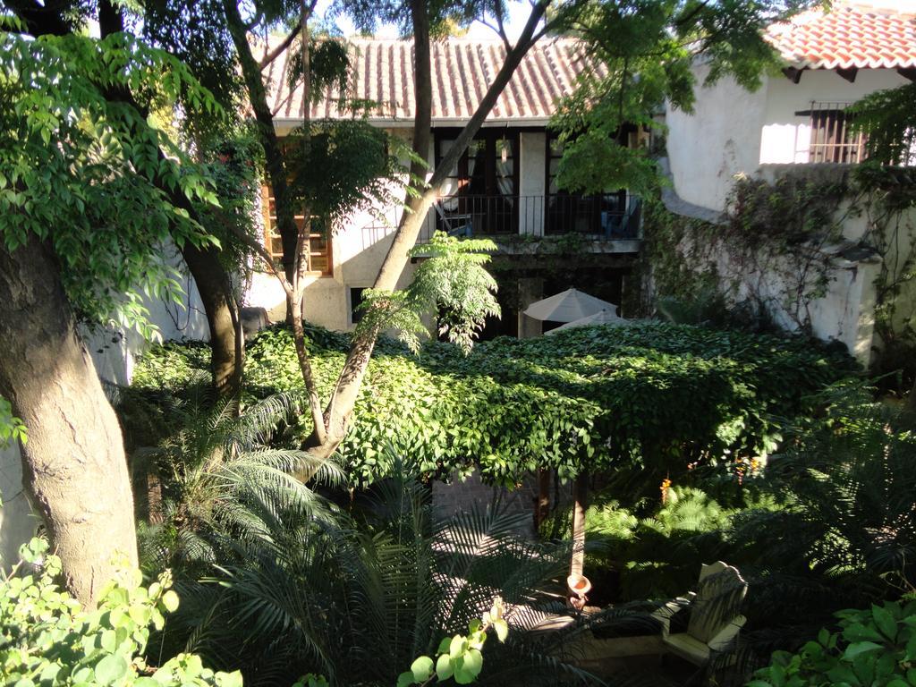 Cissus Hotel Boutique (Adults Only) Antigua Eksteriør billede