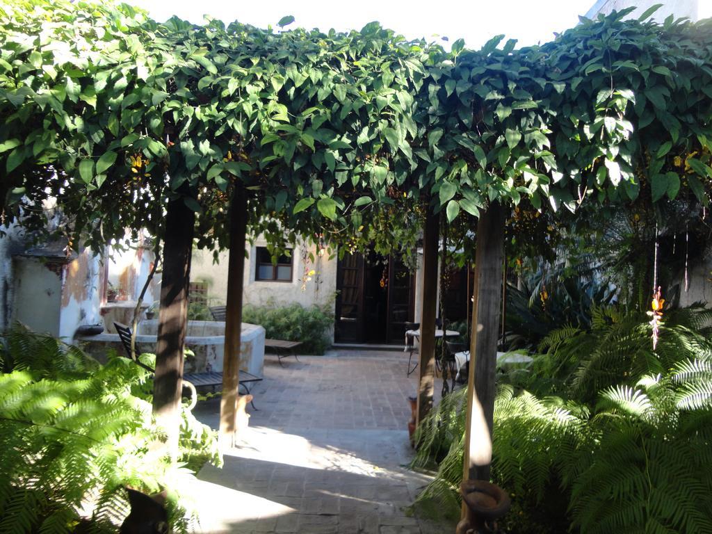Cissus Hotel Boutique (Adults Only) Antigua Eksteriør billede