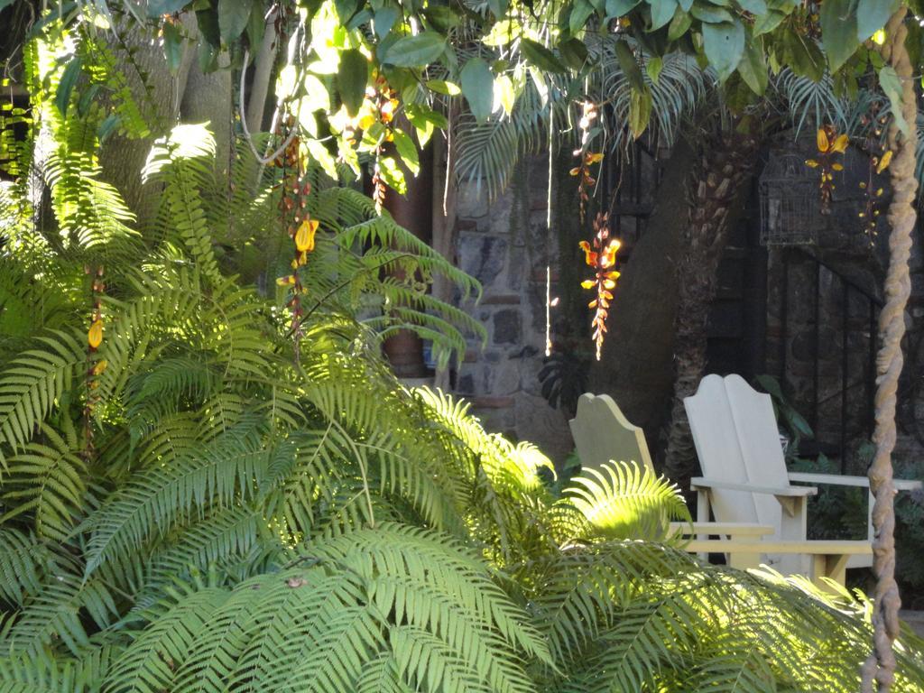 Cissus Hotel Boutique (Adults Only) Antigua Eksteriør billede