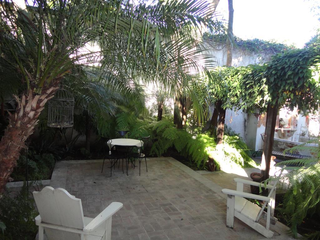 Cissus Hotel Boutique (Adults Only) Antigua Eksteriør billede