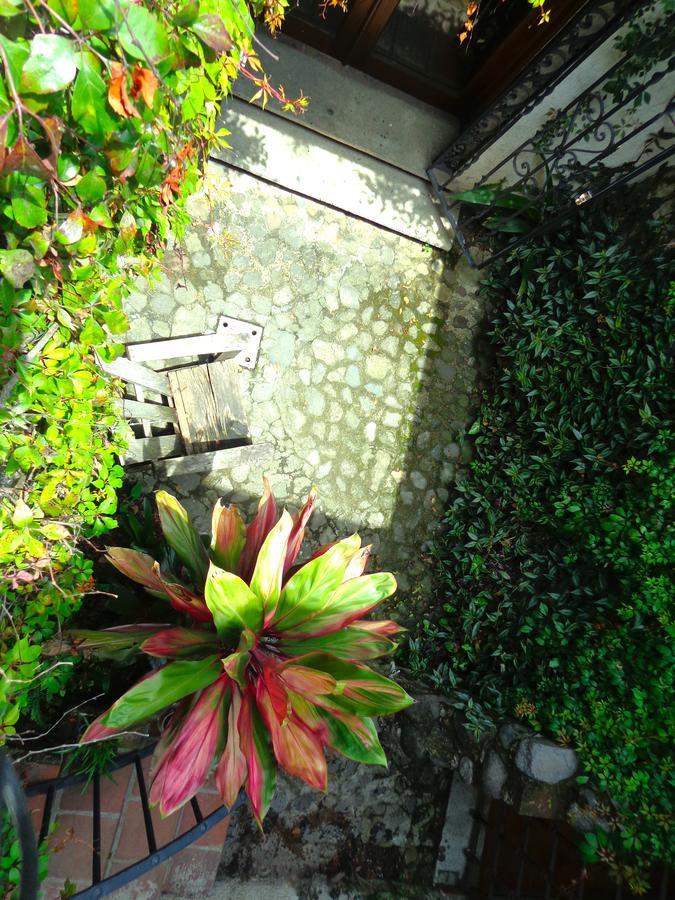 Cissus Hotel Boutique (Adults Only) Antigua Eksteriør billede